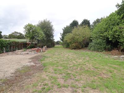 Picture 17